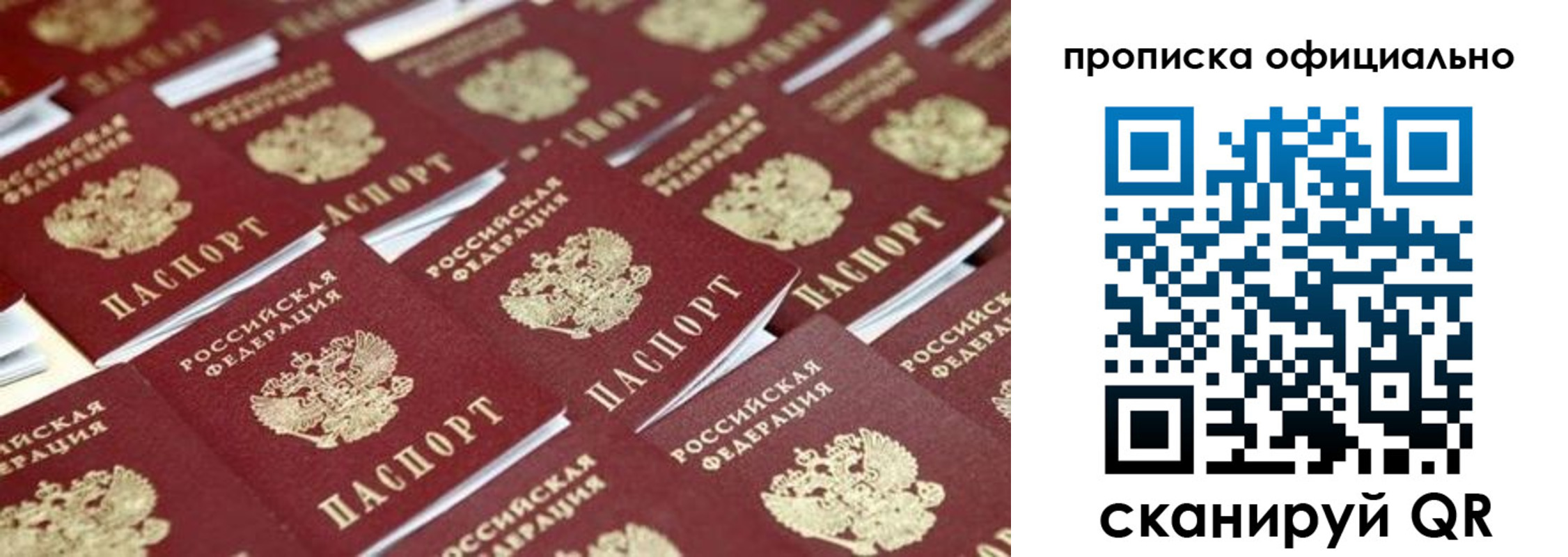 прописка гарантия в Топках